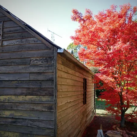 Lynden Cottage - Built 1884 In The Heart Of Town Trentham Exterior photo